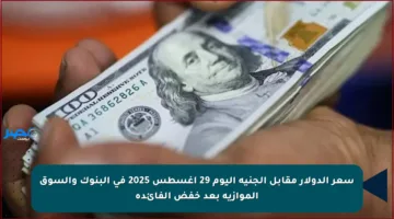 سعر الدولار مقابل الجنيه اليوم 29 أغسطس 2025 في البنوك والسوق الموازية بعد خفض الفائدة